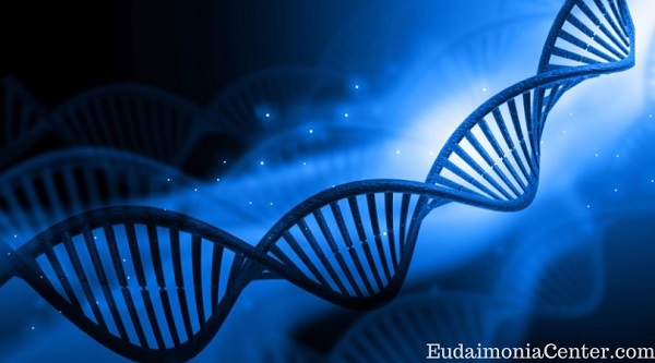 Genes are Not Set in Concrete at Birth and Can be Modified